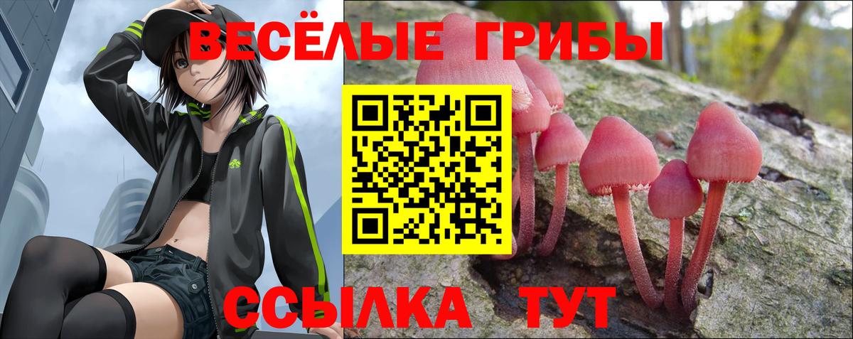 Гурьевск  Псилоцибиновые грибы мухоморы  Вход с VPN 
