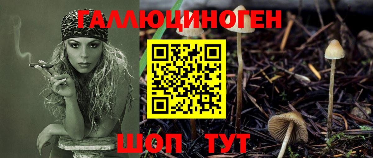 Галлюциногенные грибы ЛСД Гурьевск